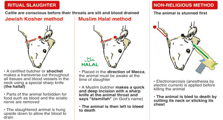 Delpasand's Halal Process