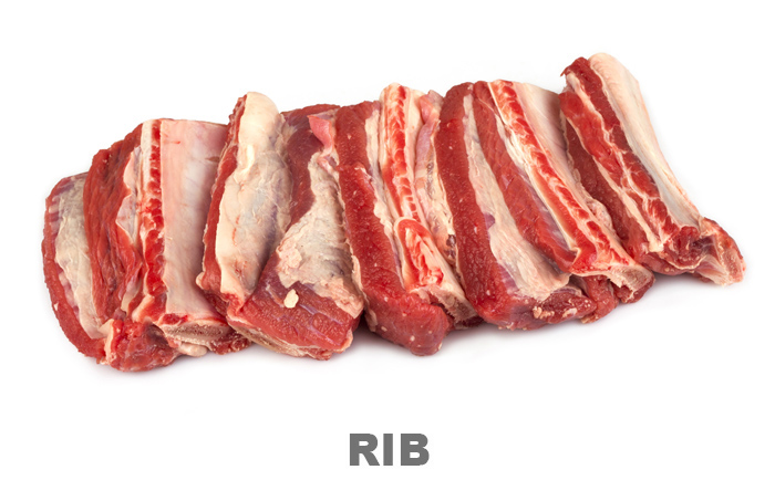 rib.jpg