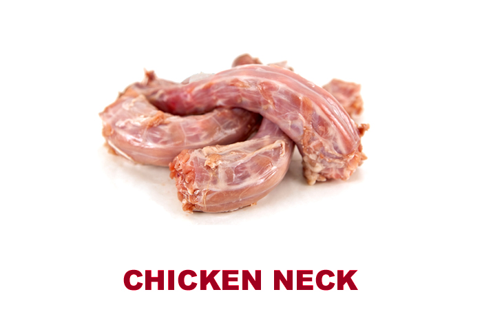 chickeeee-1.jpg.png