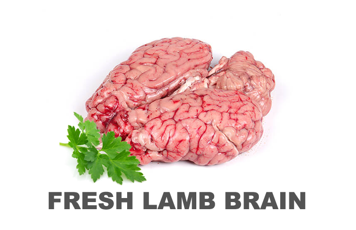 lambhead.png