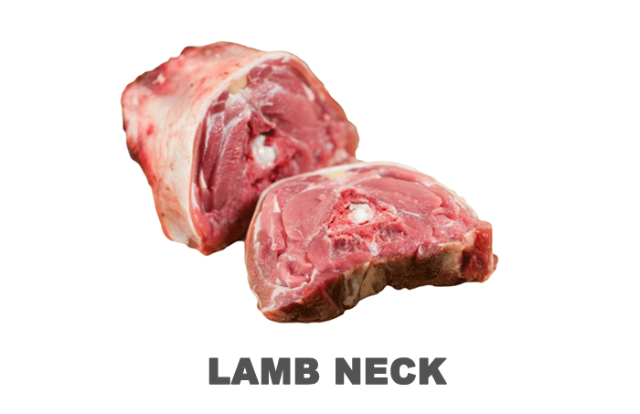 neck.png