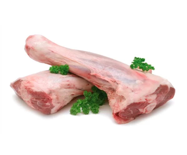 ماهیچه گوسفندی